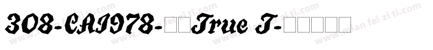 308-CAI978-常规True T字体转换
